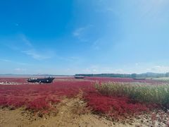 -辽宁团山国家级海洋公园