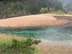 树正沟-九寨沟-树正沟