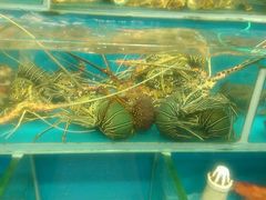 -鲤鱼门海鲜街