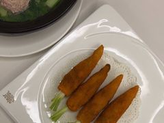 -丁老爷子苏香圆