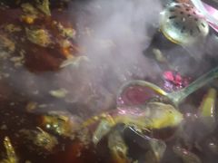 -金海椒罐罐鲢鱼(东方桂苑店)