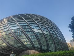 -凤凰中心