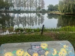 -金银湖国家城市湿地公园