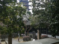-常熟方塔园
