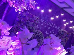 -保定金沙芝柏婚礼策划