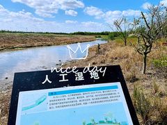 -春花秋色城市公园