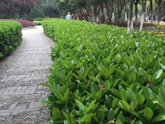 -赭山公园