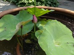 -李叔同故居纪念馆