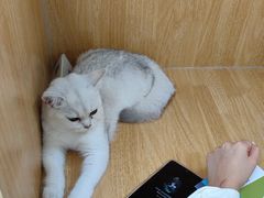 -美联众合动物医院·24h京西诊疗中心