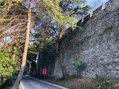 -紫金山山顶公园