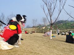 -重庆平顶山公园