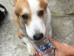 -VOYAGE COFFEE(北锣鼓巷店)