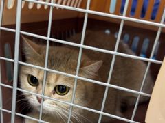 -达爱动物医院·犬猫分区·CT·复杂眼科(远洋山水分院)