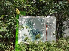 -西湖风景区-江洋畈生态公园