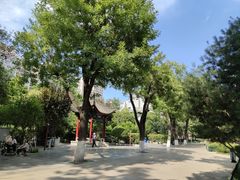 -莲湖公园