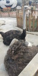 -三分地生态园·儿童乐园