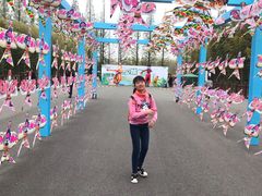 -黄海国家森林公园