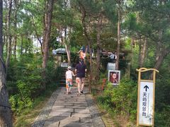 -千岛湖天屿景区