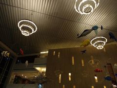 大堂-佰园全日西餐厅-厦门佰翔软件园酒店