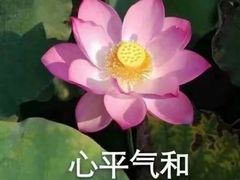 -拾光秀照相馆(石家庄勒泰中心店)