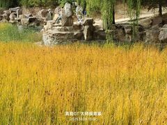 -红山国家森林公园