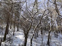 -秦岭风景区