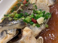-洲晓鲜·舟山海鲜大排档(朱家尖风景区店)