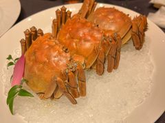 -福玺荟(外滩罗斯福店)