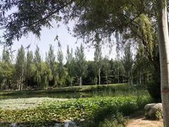 -西安浐灞国家湿地公园