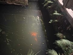 -墨池公园