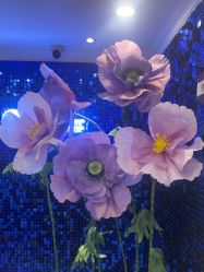 -深圳春天阳光医院·轮廓抗衰中心