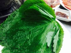 -松明一烤肉馆(鲁园店)