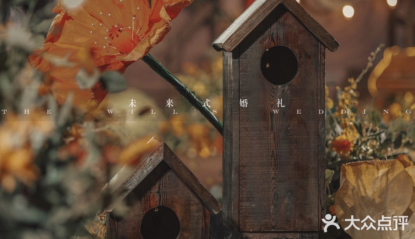 动物森友会~小森系婚礼推荐!