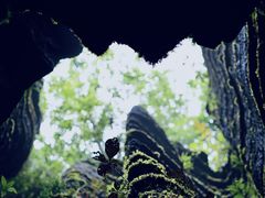 -梭布垭石林景区