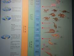 -湖南省地质博物馆