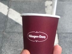 -哈根达斯(石家庄北国店)