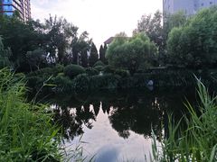 -丁家河公园