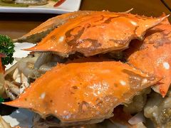 -海岛渔村大酒店(云霄路店)