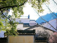 -新安江山水画廊风景区