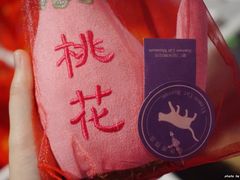 -猫咪博物馆(顶澳仔猫街店)