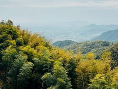 -莫干山风景区