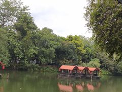 -侨美·唐荔园·40年地道粤菜