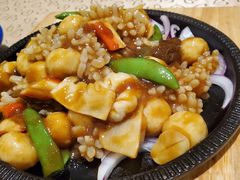-大鸭梨烤鸭(左家庄店)
