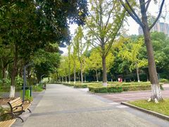 -苏州河梦清园环保主题公园