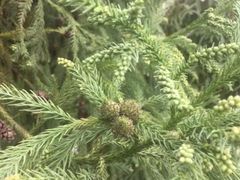 -白塘生态植物园