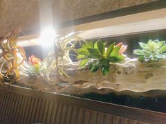 -大桶大足浴(田林路店)