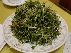 -青岛锅贴(四流中路店)