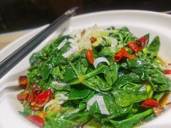 有机趴地虎菠菜-古镇老食铺-徐州非遗技艺餐厅(大学城店)