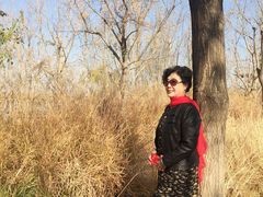 -东郊湿地公园