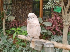 -南宫五洲植物乐园